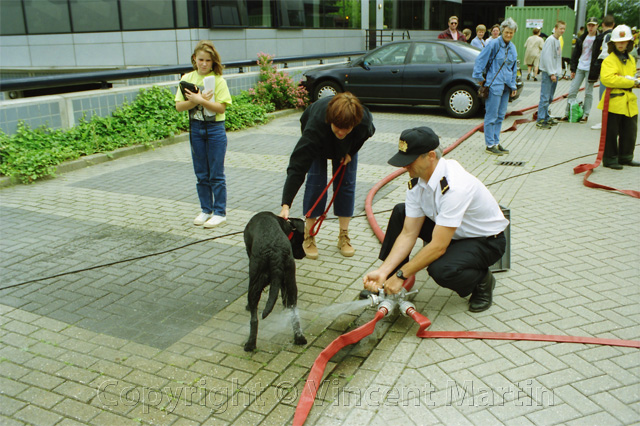 Sony Badhoevedorp